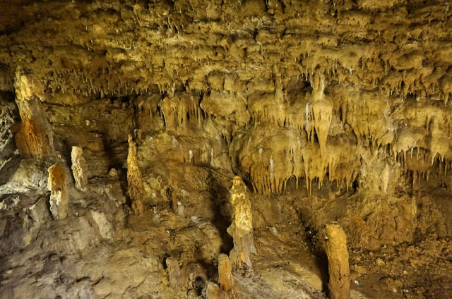 おきなわワールド