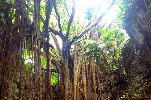 ガンガラーの谷